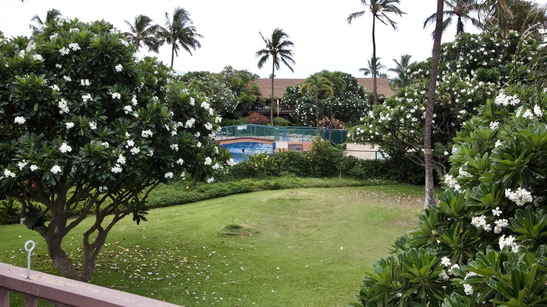 Vakantiehuis Koa Resort 1G Kihei
